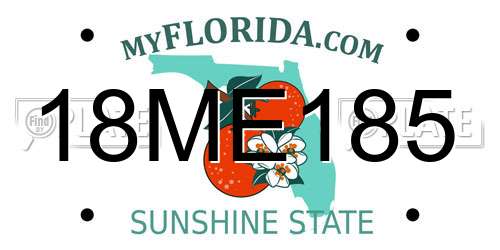 18ME185 Florida License Plate