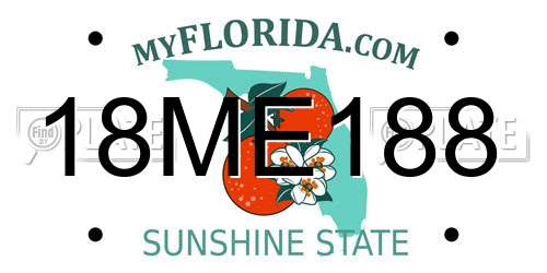 18ME188 Florida License Plate