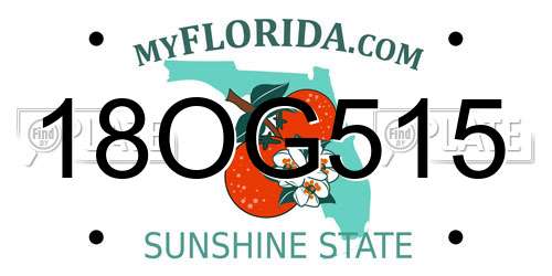 18OG515 Florida License Plate