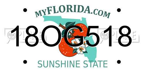 18OG518 Florida License Plate
