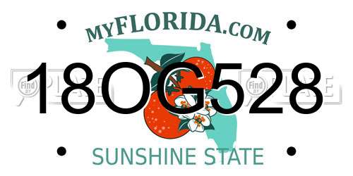 18OG528 Florida License Plate