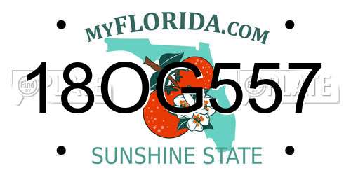 18OG557 Florida License Plate