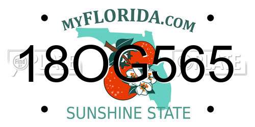 18OG565 Florida License Plate