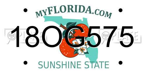 18OG575 Florida License Plate