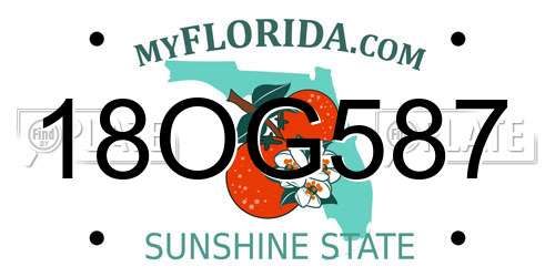 18OG587 Florida License Plate