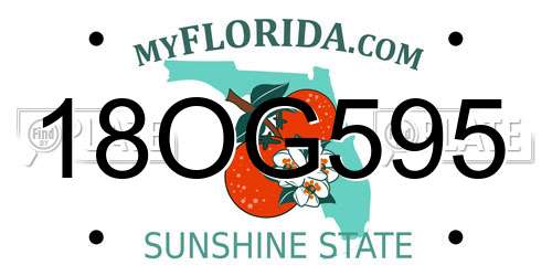 18OG595 Florida License Plate