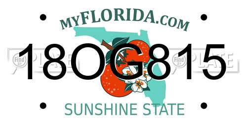 18OG815 Florida License Plate