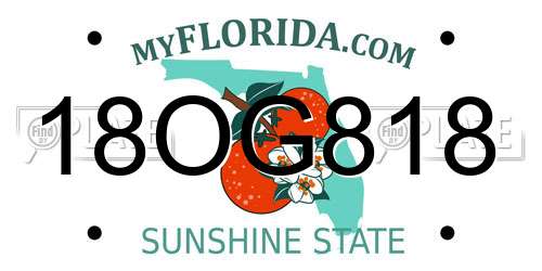 18OG818 Florida License Plate