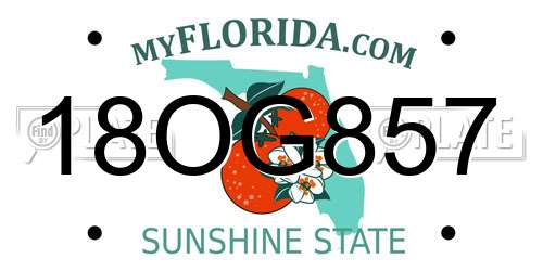 18OG857 Florida License Plate