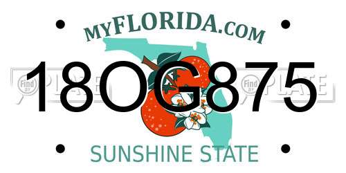 18OG875 Florida License Plate