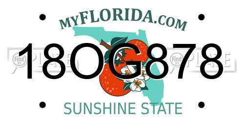 18OG878 Florida License Plate