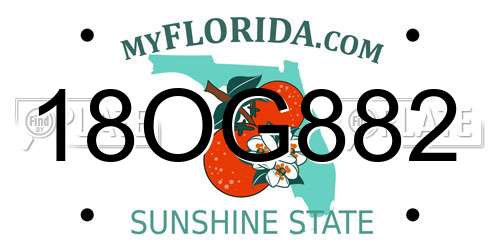 18OG882 Florida License Plate