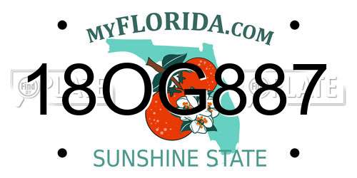 18OG887 Florida License Plate
