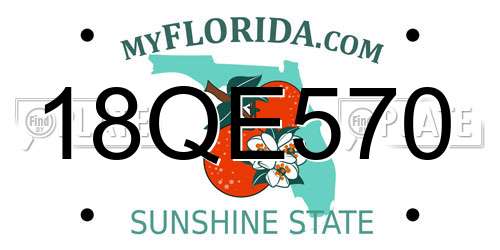 18QE570 Florida License Plate