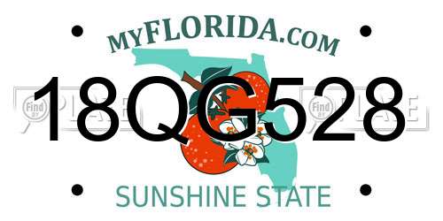 18QG528 Florida License Plate