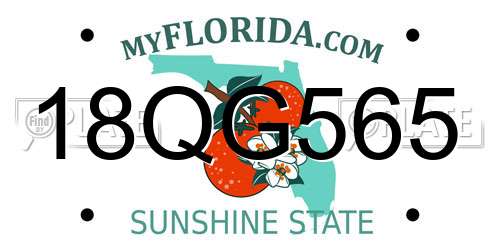 18QG565 Florida License Plate