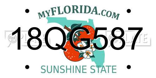 18QG587 Florida License Plate