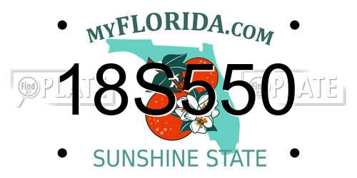 18S550 Florida License Plate
