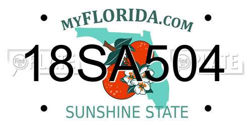 18SA504 Florida License Plate