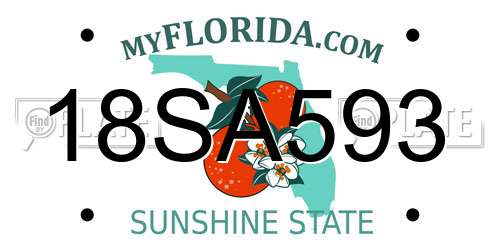 18SA593 Florida License Plate