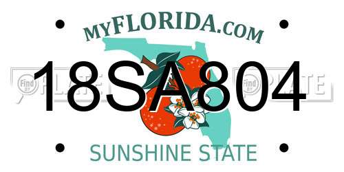 18SA804 Florida License Plate