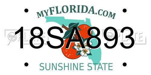 18SA893 Florida License Plate
