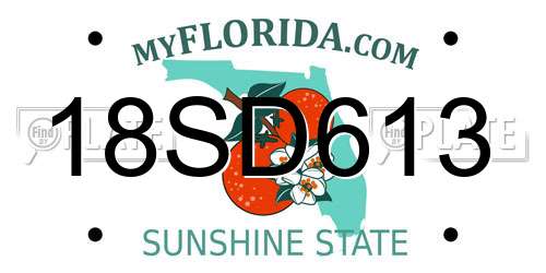 18SD613 Florida License Plate