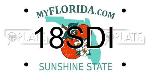 18SDI Florida License Plate