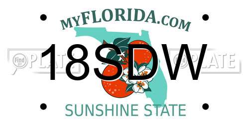 18SDW Florida License Plate