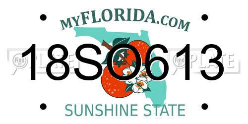 18SO613 Florida License Plate