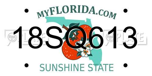 18SQ613 Florida License Plate