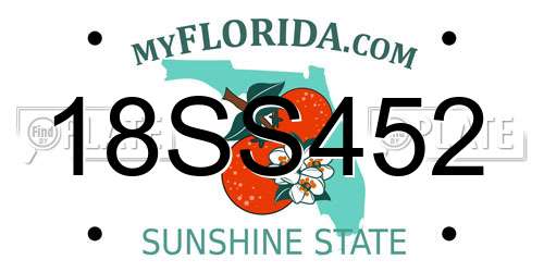 18SS452 Florida License Plate