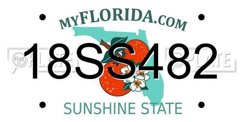 18SS482 Florida License Plate