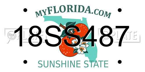 18SS487 Florida License Plate