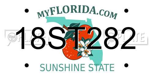 18ST282 Florida License Plate