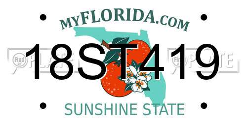 18ST419 Florida License Plate