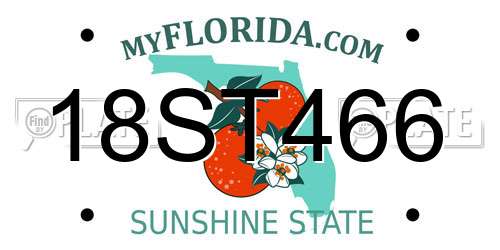 18ST466 Florida License Plate
