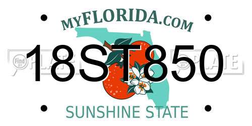 18ST850 Florida License Plate
