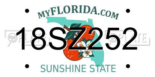 18SZ252 Florida License Plate