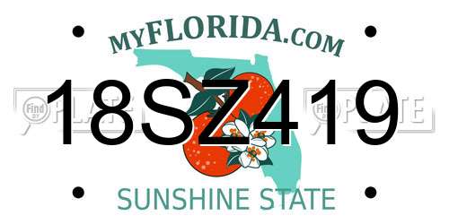 18SZ419 Florida License Plate