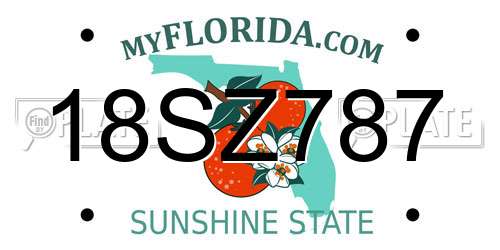 18SZ787 Florida License Plate