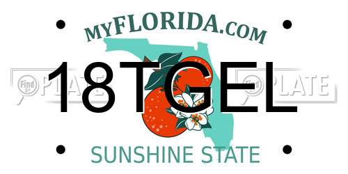 18TGEL Florida License Plate