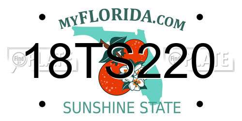 18TS220 Florida License Plate