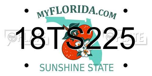 18TS225 Florida License Plate