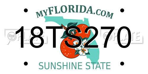 18TS270 Florida License Plate