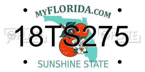 18TS275 Florida License Plate