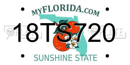 18TS720 Florida License Plate