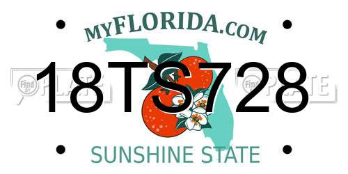 18TS728 Florida License Plate
