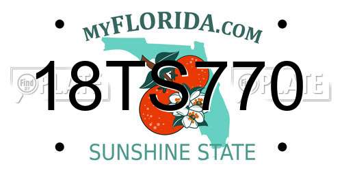 18TS770 Florida License Plate