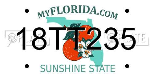 18TT235 Florida License Plate